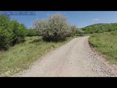 Plavia - Pamantul lu' Bucu1