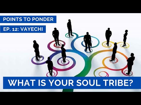 Which Tribe Do You Belong To? (Points to Ponder #12: Vayechi)