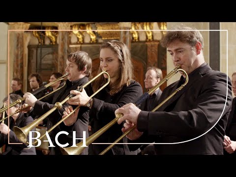Bach - Sinfonia from Cantata BWV 29 | Netherlands Bach Society