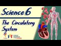 GRADE 6- THE CIRCULATORY SYSTEM Science 6 | SULONG EDUKALIDAD by Sir C.G.