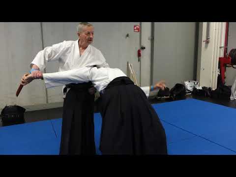 METZ TORII 2021 TANTO MAH02712