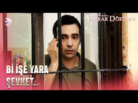Şevket Suçu Üstlendi.. - Yaprak Dökümü 158. Bölüm