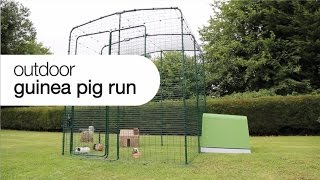 Outdoor Guinea Pig Run
