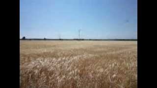 Как исправить p2537