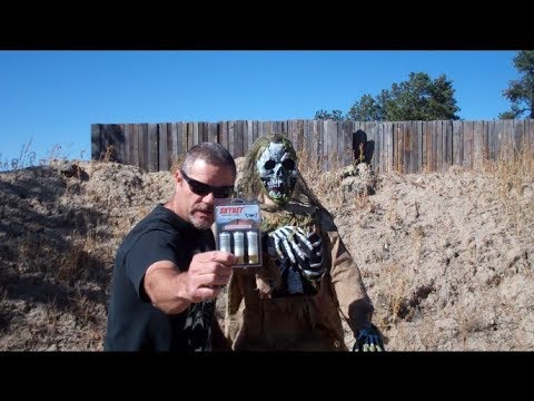 12 gauge Skynet rounds VS Zombies  Going Boollistic