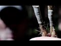 How To Whip The Ends Of A Rope
