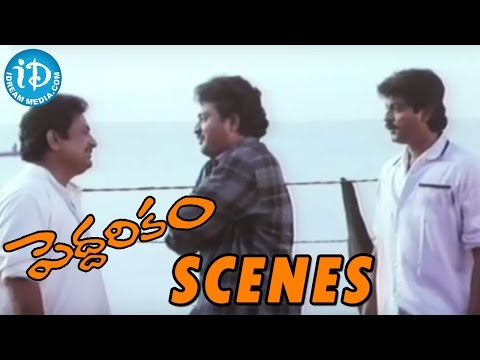 Peddarikam Movie Scenes - Jagapathi Babu And Sudhakar Comedy || Sukanya || A M Rathnam || Raj-Koti