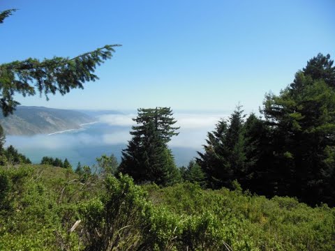 The Eight Worldly Winds  |  Ajahn Cunda