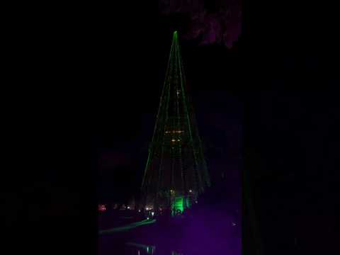 🎄Ibira contagem regressiva 👏🏻 #parqueibirapuera #saopaulo