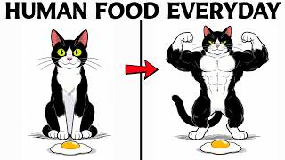 What Happens to Your Cat When You Feed Them Human Food Every Day