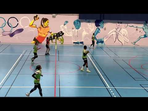 Championnat de France U17 Handball Féminin : Aulnay Handball - Metz 43 à 28