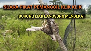 Download lagu SUARA PIKAT PRENJAK KLIK SUARA PIKAT KLIK KLIK PALING AMPUH TERBARU 2026 mp3