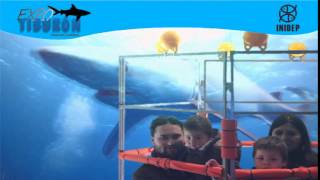 DIA 2 Expo Tiburon264