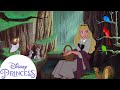 Aurora S Forest Friends Sleeping Beauty Disney Princess