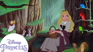 Download lagu Aurora's Forest Friends | Sleeping Beauty | Disney Princess mp3