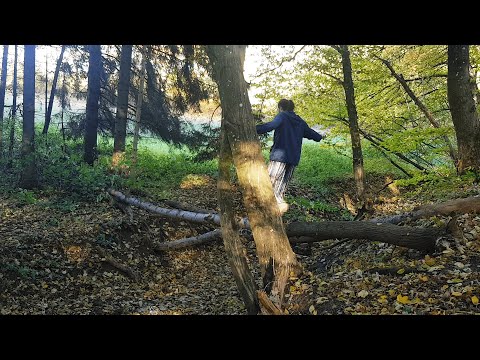 Don't Go With The Flow (Official Music Video) #28 Autumn Forest 2024
