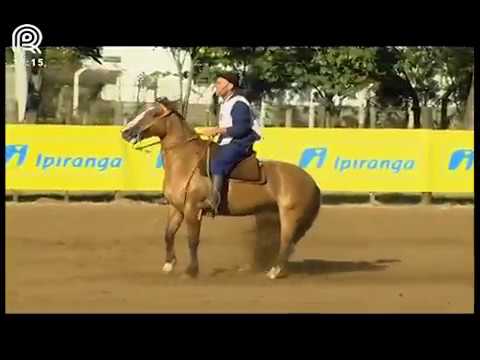 Classificatória Região Norte – 4° lugar fêmeas – Camb Chula 333 (Prova: Bayard/Sarmento)