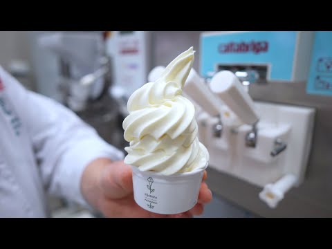 Behind the scenes of gelato - Chocolate sorbets, industrial ice cream, soft-serve problems...