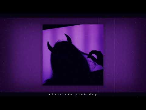 WISEKIDS - Whats The Prob Dog? (Let me Think About It) (slowed + reverb)