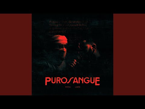 Purosangue