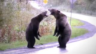 Lush - Ciao with lyrics (+Chinese Subtitle)