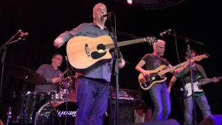 The Orchids - It's only obvious (New Continental - Preston)