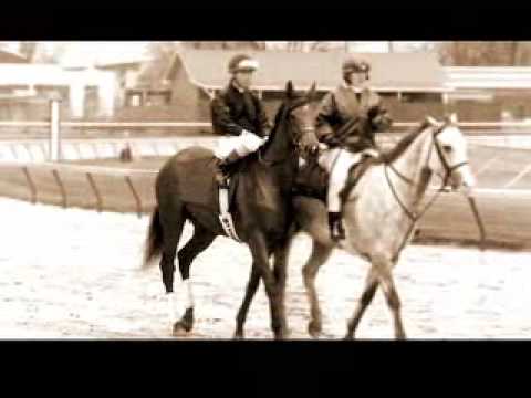 Personal Ensign (60 second) (2006)