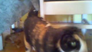 Whatcha got going on Bella?