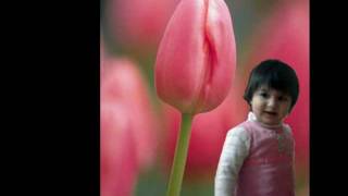 كلمات اغنية انه هناك سامي يوسف