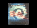 norman cook featuring lester -for spacious lies-12 inch version - paul quinn norman cook featuring lester -for spacious lies-12 inch version