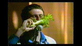 Super Furry Animals - Receptacle For The Respectable [Mercury Music Prize 2001]