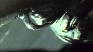 Black Mask (1999) Video