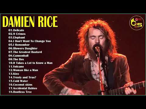 Damien Rice's Greatest Hits - Best Songs Collection Of Damien