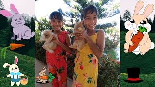 CHEGARAM MAIS DOIS NOVOS MORADORES MUITO ESPECIAIS. OS NOSSOS COELHINHOS.