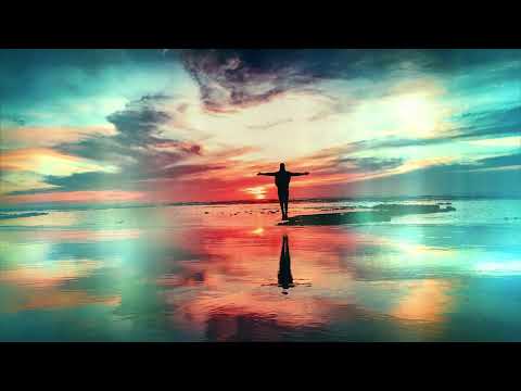 Whitewildbear - My Collection · Live alive, free and wild ·