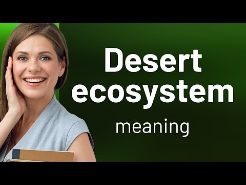 Understanding the Desert Ecosystem: A Journey into Arid Lands
