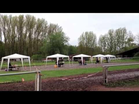 Bjalla vom Eldhof - OSI Altrip 2013 Finale S2 T3