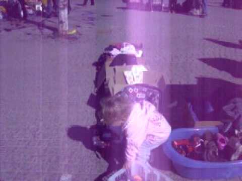 Loppmarknad på Vaksala torg, Uppsala