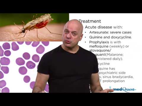 Medquest USMLE Step 3 High Yield - ID Sample