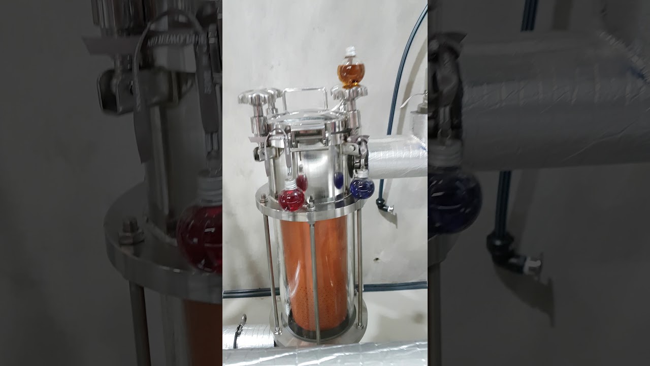 Wild Hibiscus Distilling Co Distillery