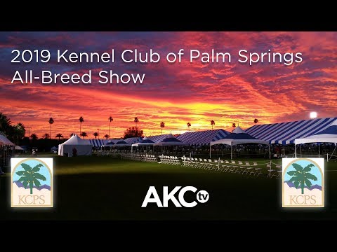 download lagu mp3 mp4 Dog Shows In California, download lagu Dog Shows In California gratis, unduh video klip Dog Shows In California