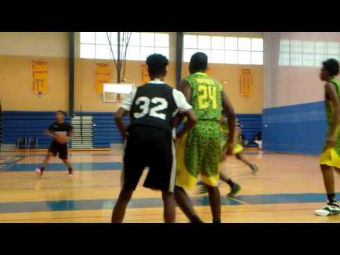 AAU CAPITAL CITY VIPERS  TEAM