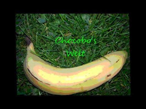 Tutorial: Wickeldutt