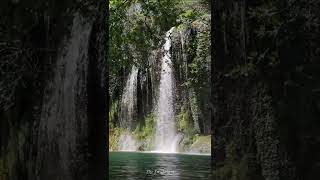 Download lagu Suara Air Terjun dan Burung Kecil di Hutan Liar mp3
