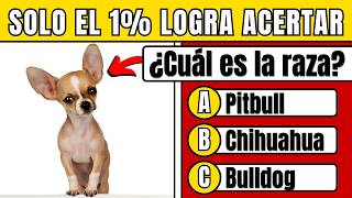 ¿Realmente Amas a los Perros? ¡Demuéstralo en este QUIZ de 100 Preguntas! 🐶🦴