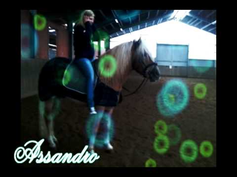 *ASSANDRO* {Mister know it All ♥}