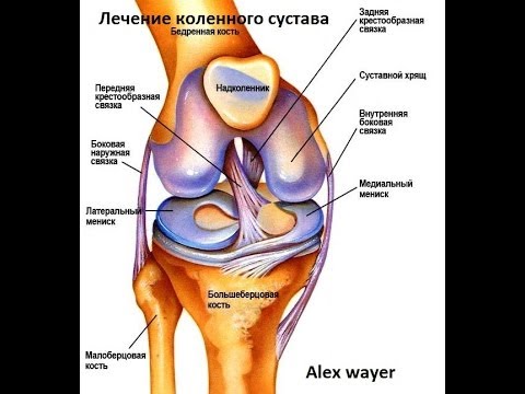 Боли в верху спины Остеохондроз чистка лавровым листом