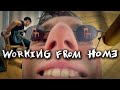 Venjent - Working from Home (Official Music Video)