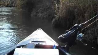 preview picture of video 'Up the creek at Monster Lake, Mazonia Lakes, Illinois'