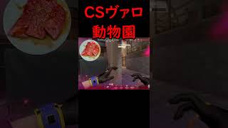 CSヴァロは叫びがち #valorant #ヴァロラント  #ps5